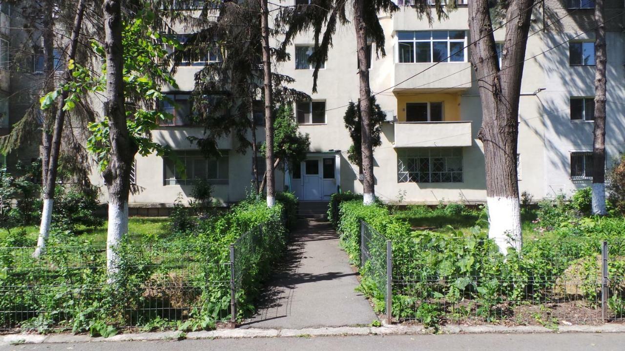 Robert 'S Apartament Ploieşti Exterior foto